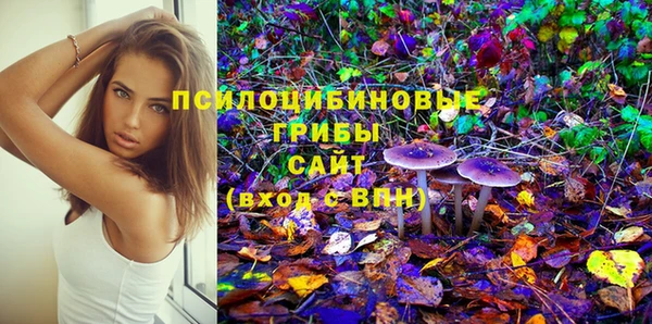 PSILOCYBIN Алексеевка